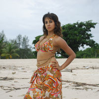 Sanjana Galrani hot in Mugguru pictures | Picture 47980